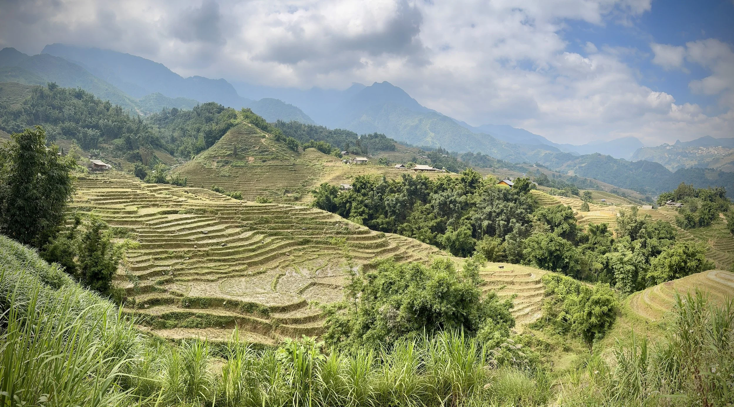 The Definitive Guide to a Guided Sapa Cycling Tour: Pedaling Through Northern Vietnam's Majestic Highlands